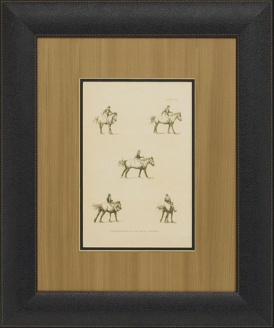 Illustration of Paces, Walking I