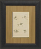 Illustration of Paces, About To Leap