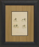 Illustration of Paces, Leaping