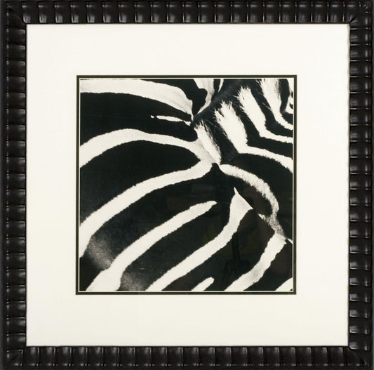Zebra II