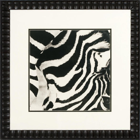 Zebra III