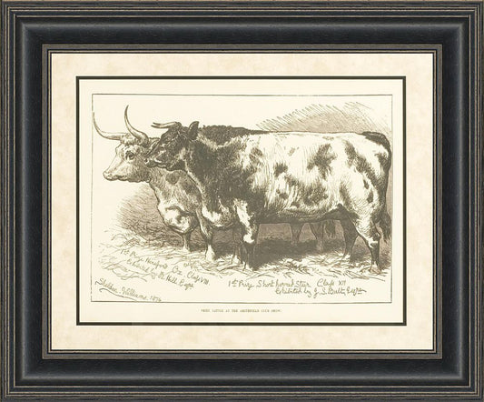 Prize Cattle II