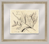 Rheede's Botanicals I