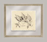 Rheede's Botanicals II