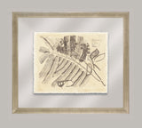 Rheede's Botanicals V