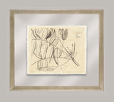 Rheede's Botanicals VI