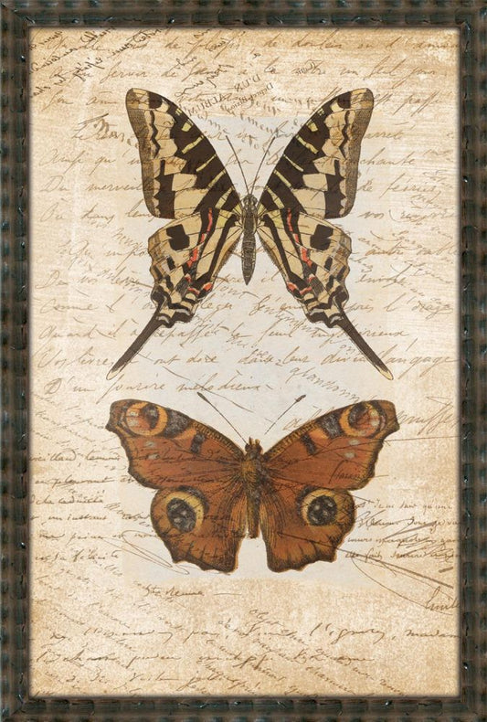 Butterflies With Writing IV