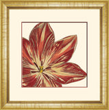 Curtis Flower Head I