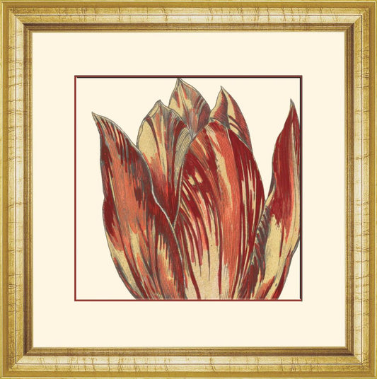 Curtis Flower Head II