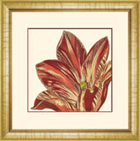 Curtis Flower Head III