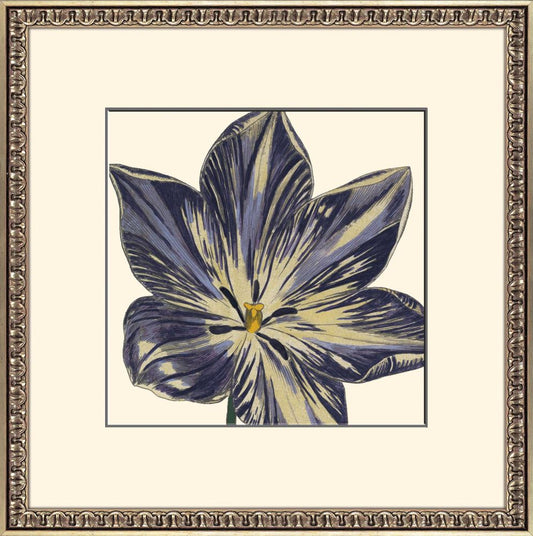 Curtis Flower Head IV