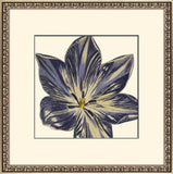 Curtis Flower Head IV