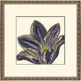 Curtis Flower Head V