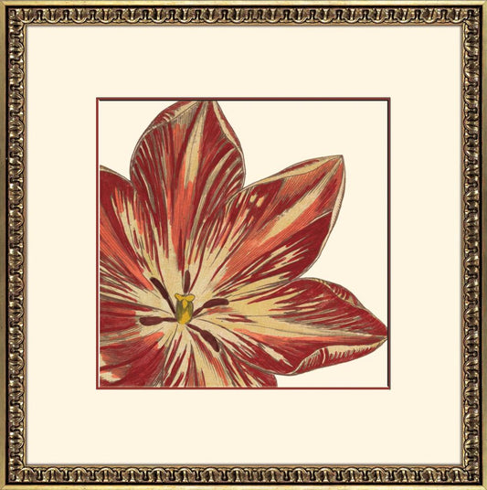 Curtis Flower Head I A