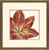 Curtis Flower Head I A