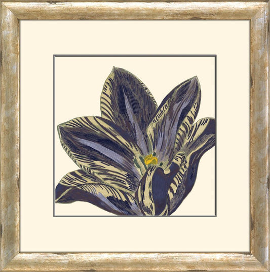 Curtis Flower Head V A