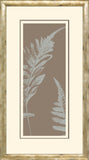 Fern Panel I B