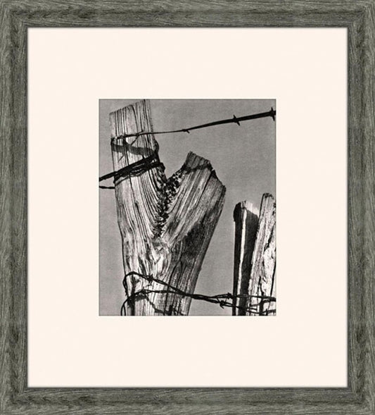 Rural Life In America I