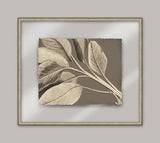 Rheede's On Taupe Linen I