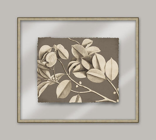 Rheede's On Taupe Linen II