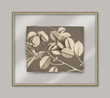 Rheede's On Taupe Linen II