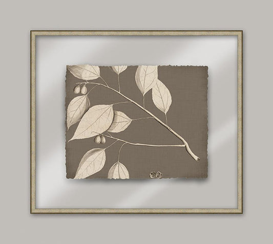 Rheede's On Taupe Linen III