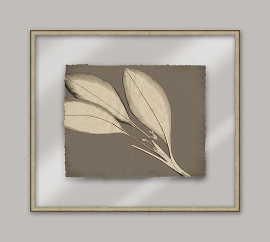 Rheede's On Taupe Linen IV