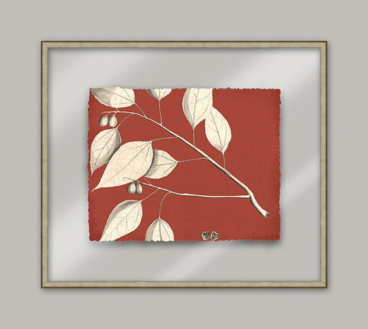 Rheede's On Sienna Linen III