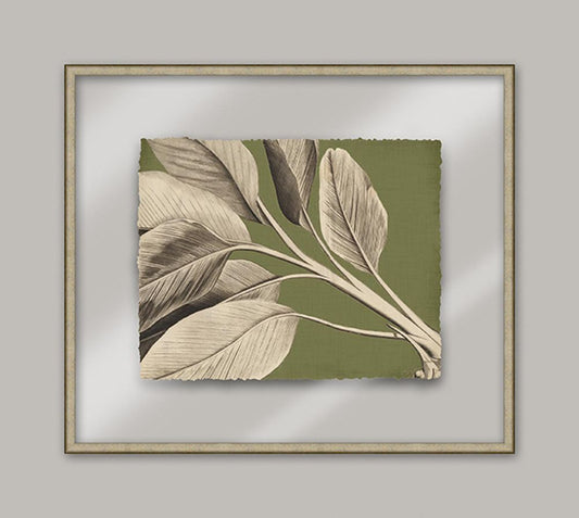 Rheede's Green Linen I