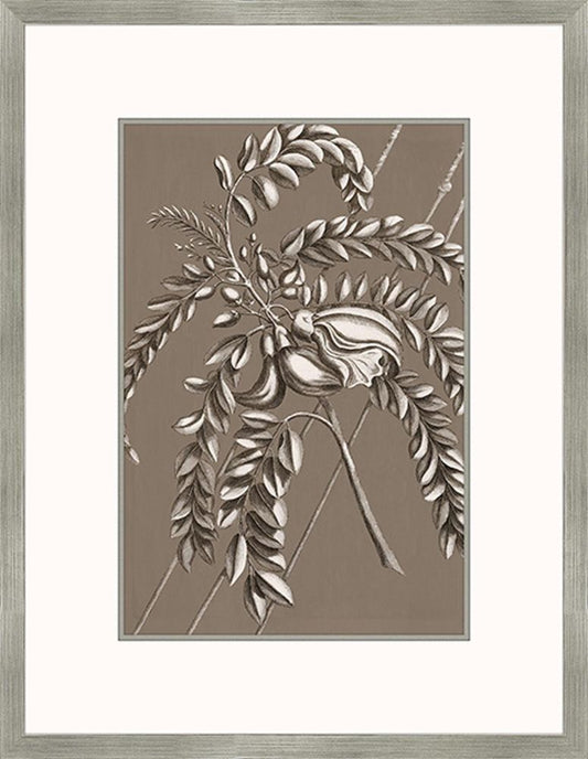 Buchoz Flowers On Taupe I