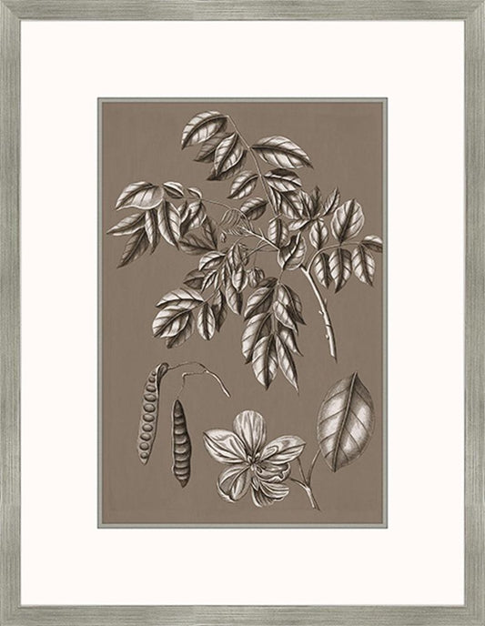 Buchoz Flowers On Taupe II