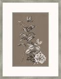 Buchoz Flowers On Taupe III