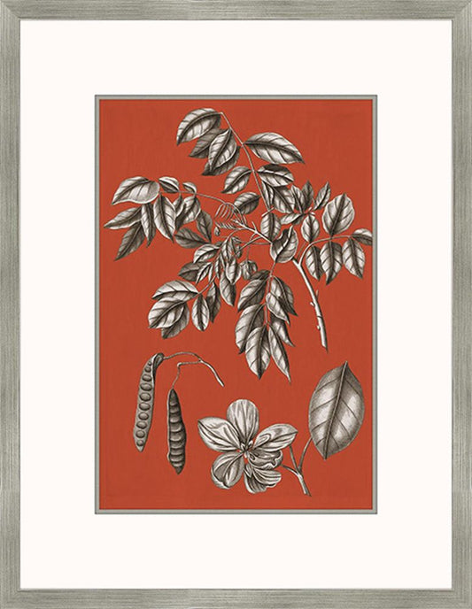 Buchoz Flowers On Sienna II