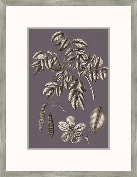 Buchoz Flowers On Amethyst II