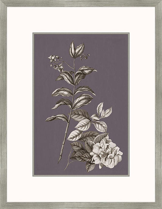 Buchoz Flowers On Amethyst III