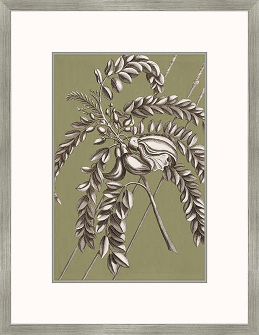 Buchoz Flowers On Sage I