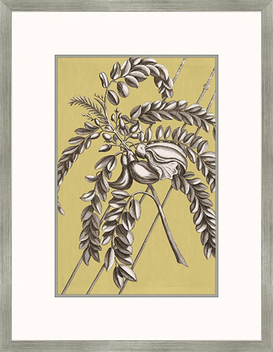 Buchoz Flowers On Citron I