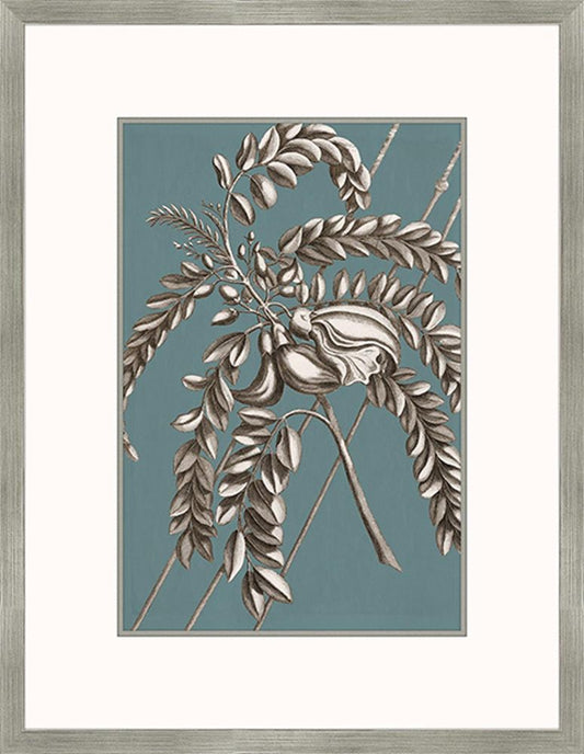 Buchoz Flowers On Teal I