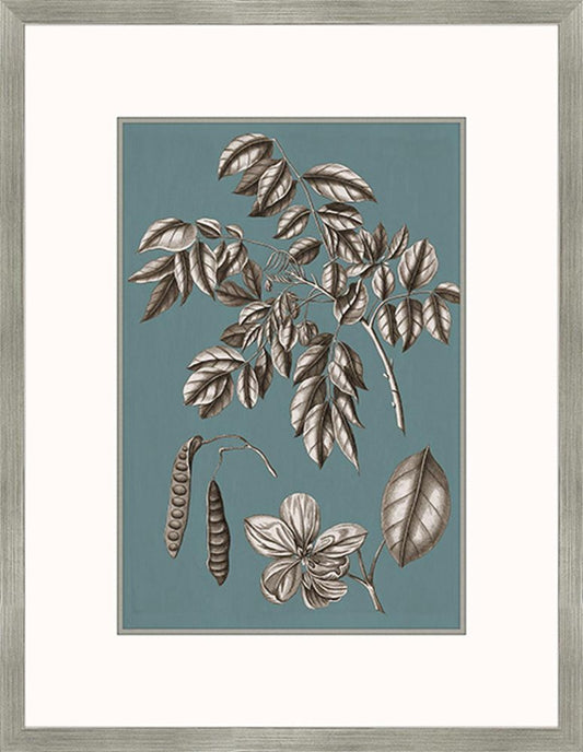 Buchoz Flowers On Teal II