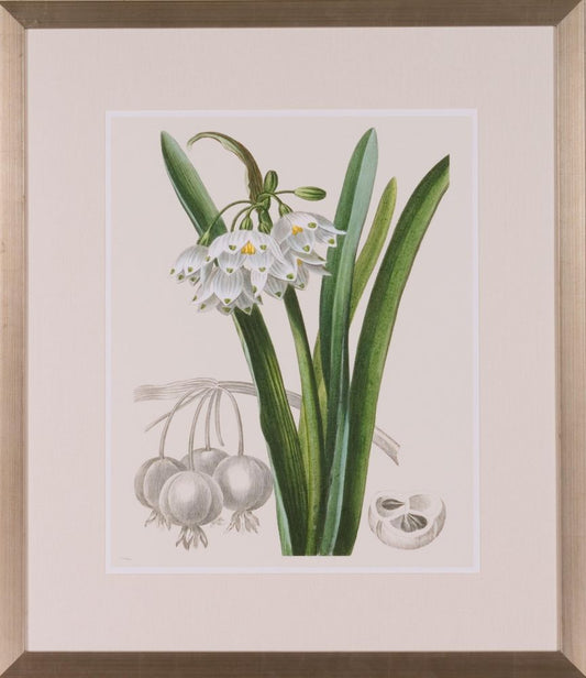 LES FLEURS BRANCHES I