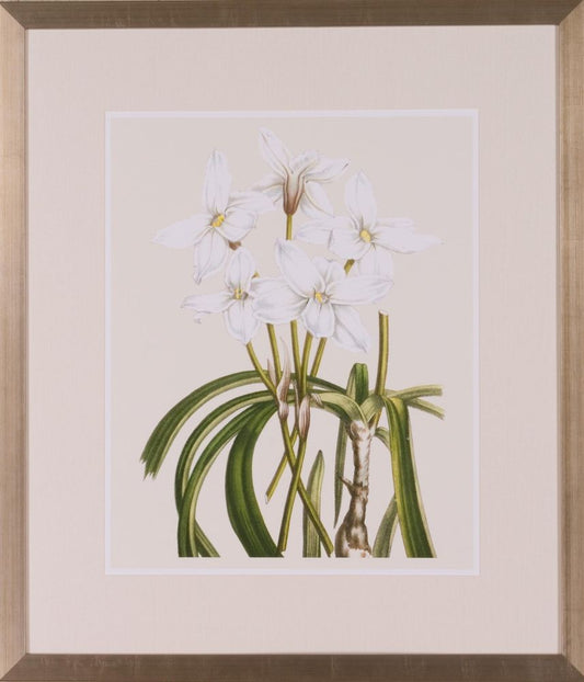 LES FLEURS BRANCHES III