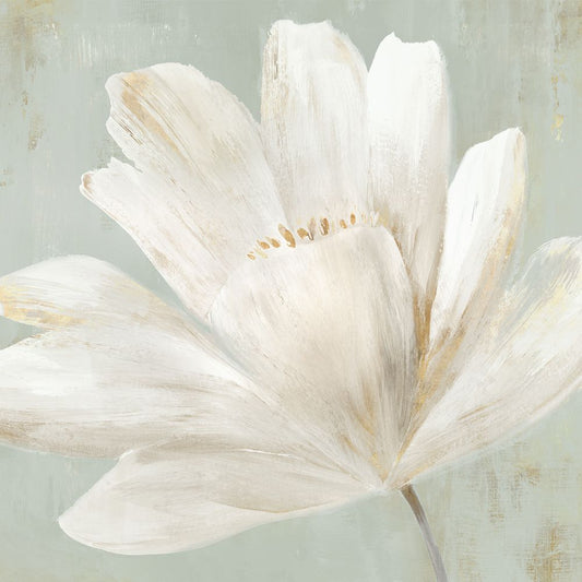 Awaken Within II Boxed Canvas