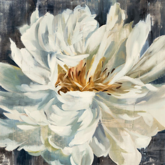 Late Bloomer Boxed Canvas