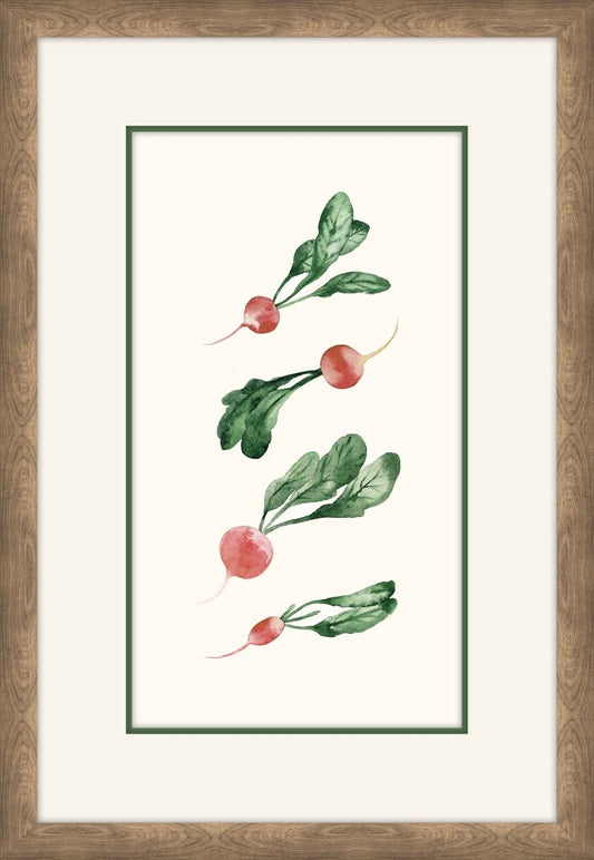 Radishes