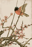 Songbird and Cherry Blossoms Petite Boxed Canvas