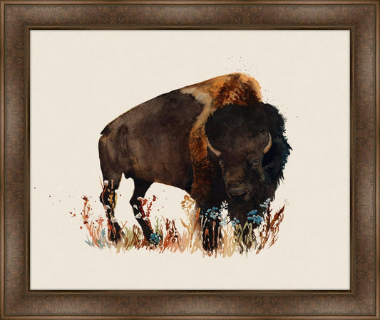 Bison Gaze