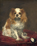 King Charles Spaniel, Edouard Manet, 1866 Boxed Canvas