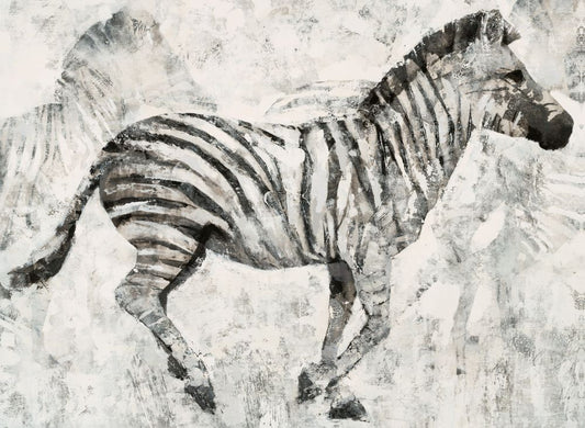 On The Move Boxed Canvas