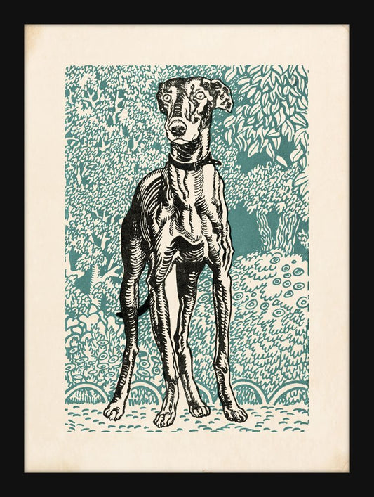 Jung's Greyhound