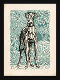 Jung's Greyhound